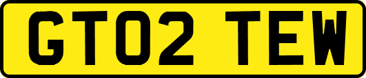 GT02TEW