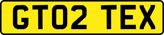 GT02TEX