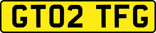 GT02TFG