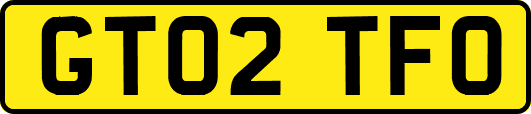 GT02TFO