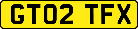 GT02TFX