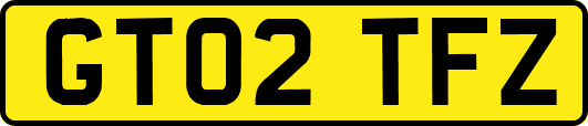 GT02TFZ