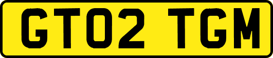 GT02TGM