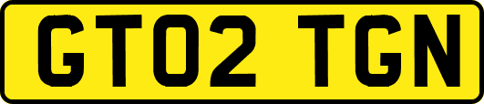 GT02TGN