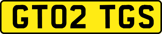 GT02TGS