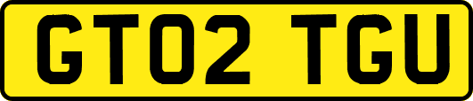 GT02TGU