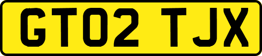 GT02TJX