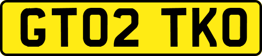 GT02TKO