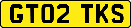 GT02TKS