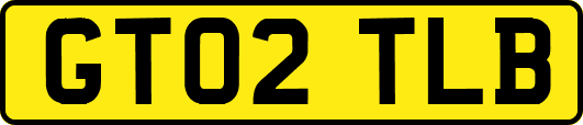 GT02TLB