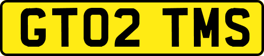 GT02TMS