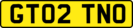 GT02TNO
