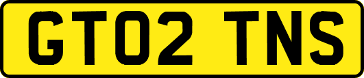 GT02TNS