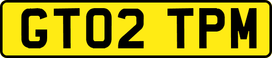 GT02TPM