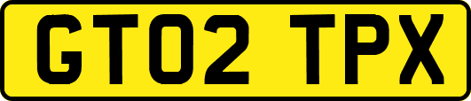 GT02TPX