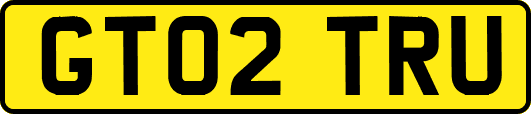 GT02TRU