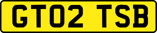 GT02TSB