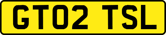 GT02TSL
