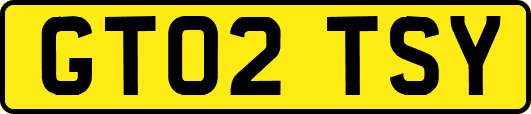 GT02TSY
