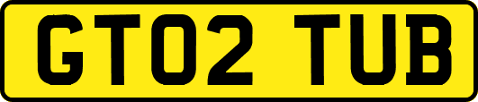 GT02TUB