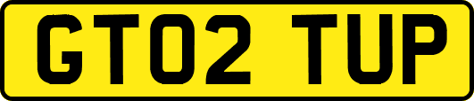 GT02TUP
