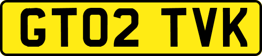 GT02TVK