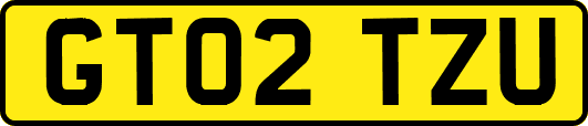 GT02TZU