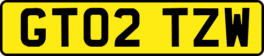 GT02TZW
