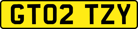 GT02TZY