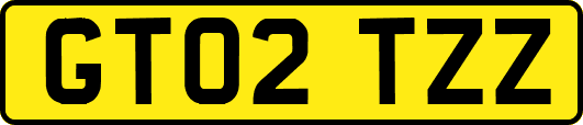 GT02TZZ
