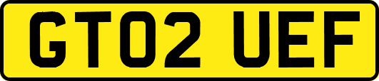 GT02UEF