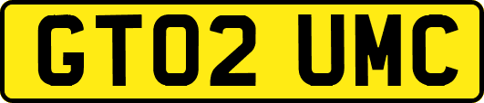 GT02UMC