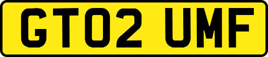 GT02UMF