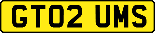 GT02UMS