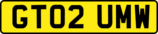 GT02UMW