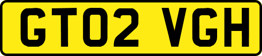 GT02VGH