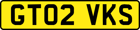 GT02VKS