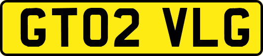 GT02VLG