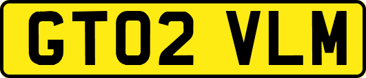 GT02VLM