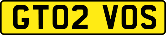 GT02VOS