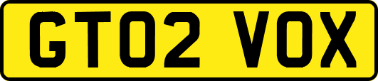 GT02VOX