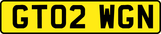 GT02WGN