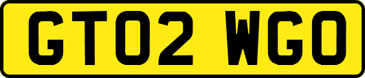 GT02WGO
