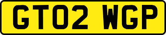 GT02WGP