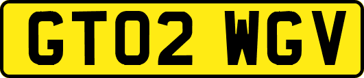 GT02WGV