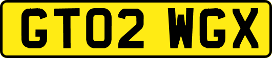 GT02WGX