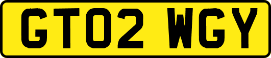 GT02WGY