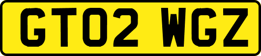 GT02WGZ