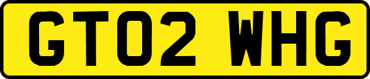 GT02WHG