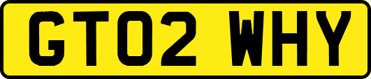 GT02WHY